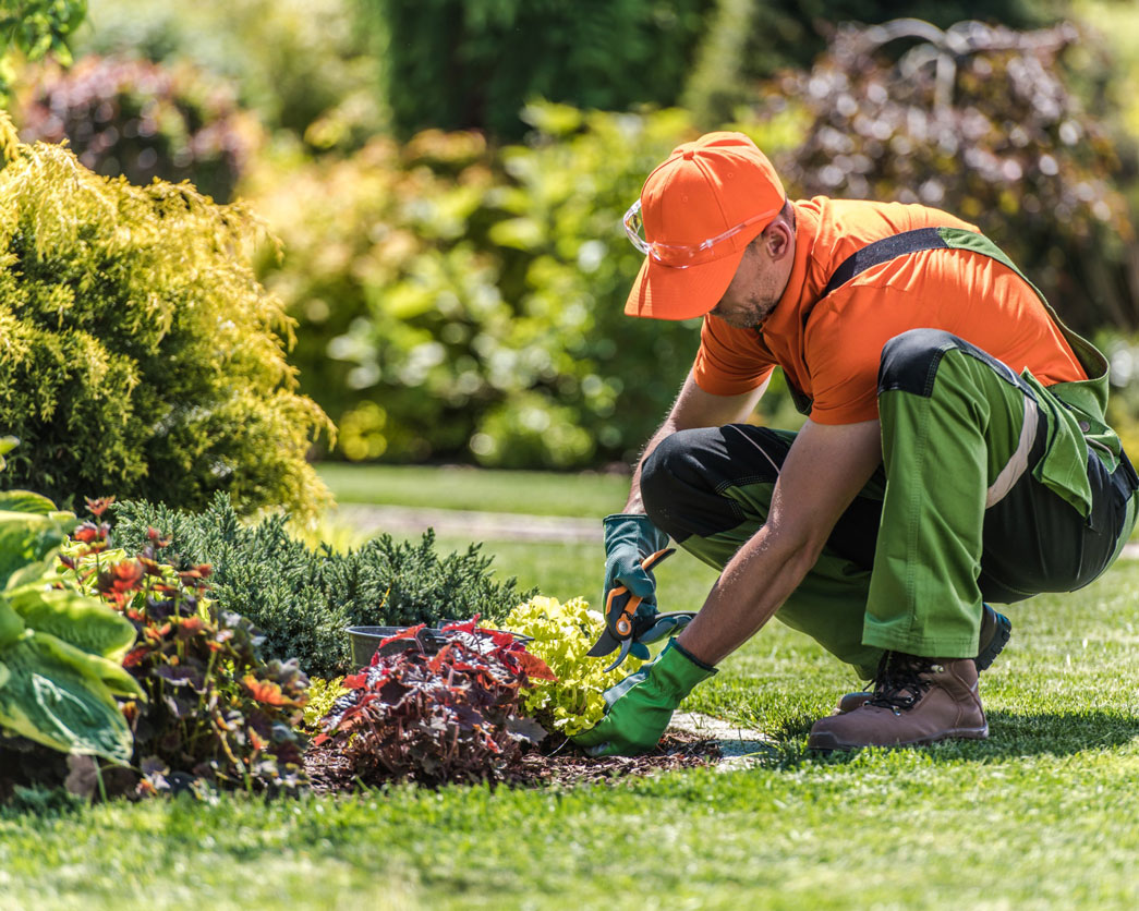 jardinería