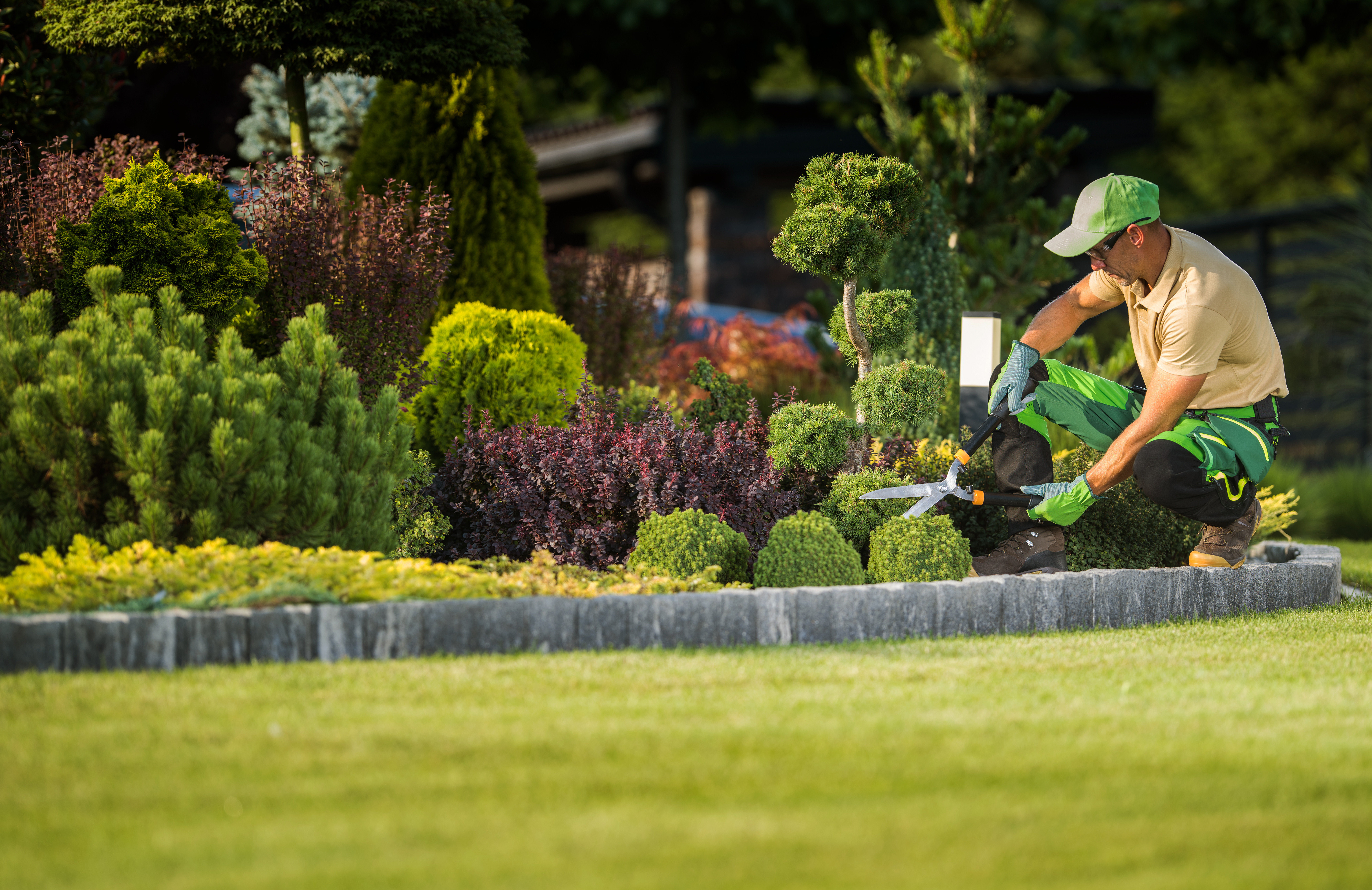 jardinería