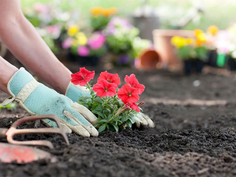 Empresa de jardinería en Madrid